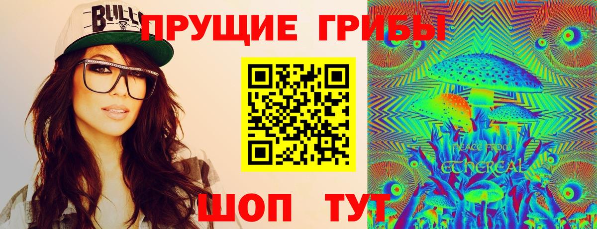 Ногинск  Псилоцибиновые грибы прущие грибы  купить наркоту  Вход с VPN 