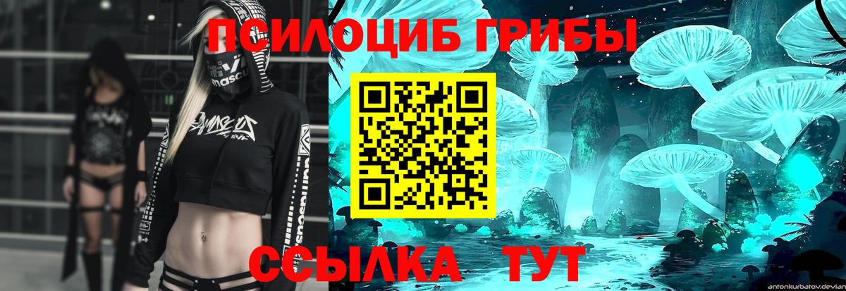 Псилоцибиновые грибы GOLDEN TEACHER Ногинск